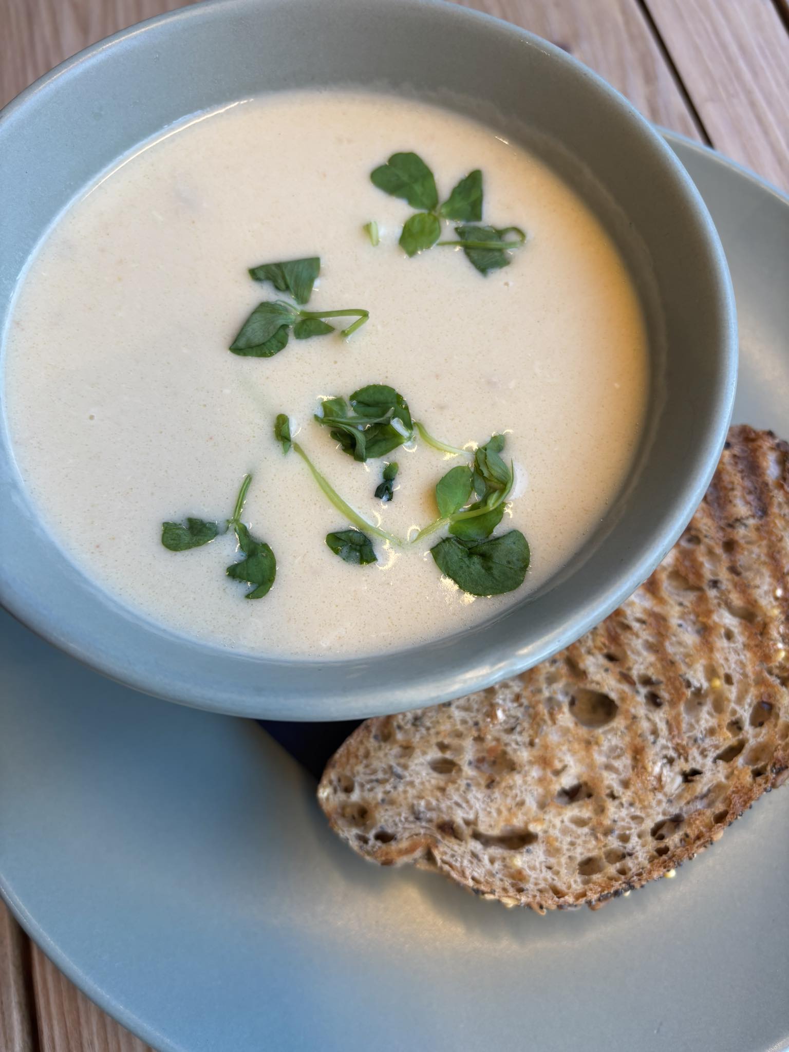 Soup1